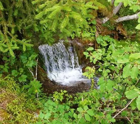 Ancient Engadine Mill 度假居