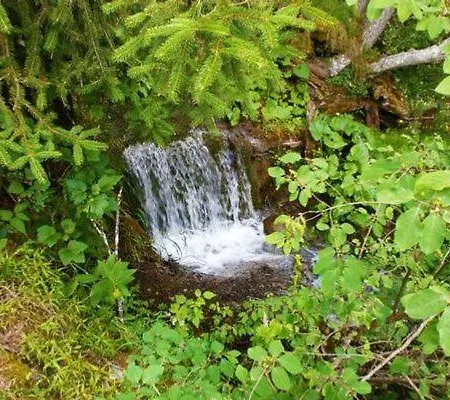 Ancient Engadine Mill Holiday home