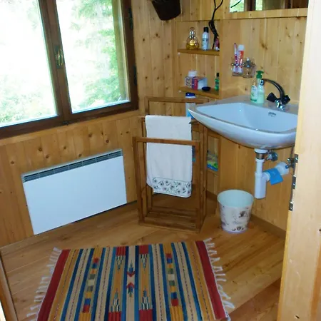 Ancient Engadine Mill 度假居 *