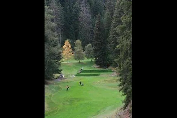 Ancient Engadine Mill