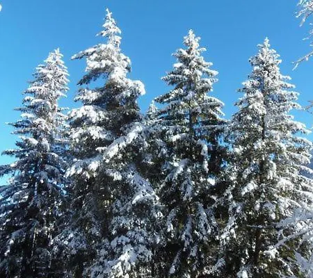 Ancient Engadine Mill *