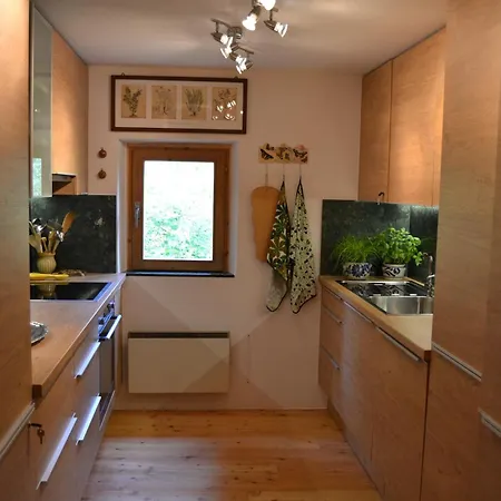 Ancient Engadine Mill *