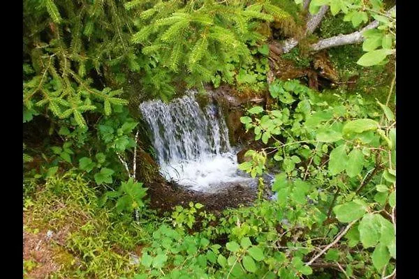 Ancient Engadine Mill בית נופש